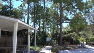 Rest area by parking lot